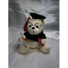 Peluche  congratulation 26 cm