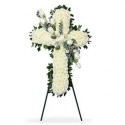 Cruces